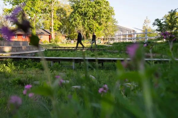 Detail of Karens Minde Park in Copenhagen by Claire Harbage, NPR.