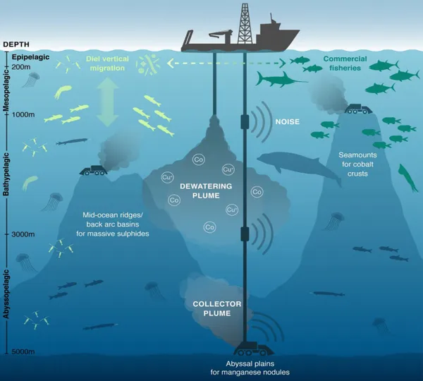 Areas of impact for sediment plumes, noise, and DSM machinery. Image by Amanda Dillon, published in DOI: 10.1073/pnas.2011914117.