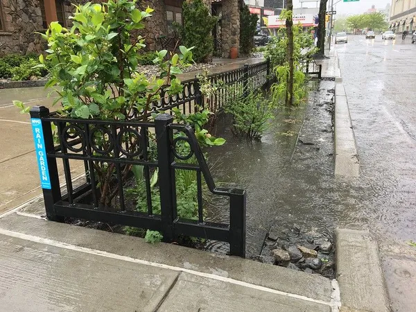 Kerbside rain garden in Flushing, Queens, by NYC NYC Environmental Protection.