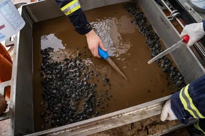 Future of the ocean floor: top deep sea mining companies