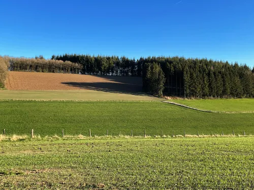 Luxembourg countryside with green fields and forest